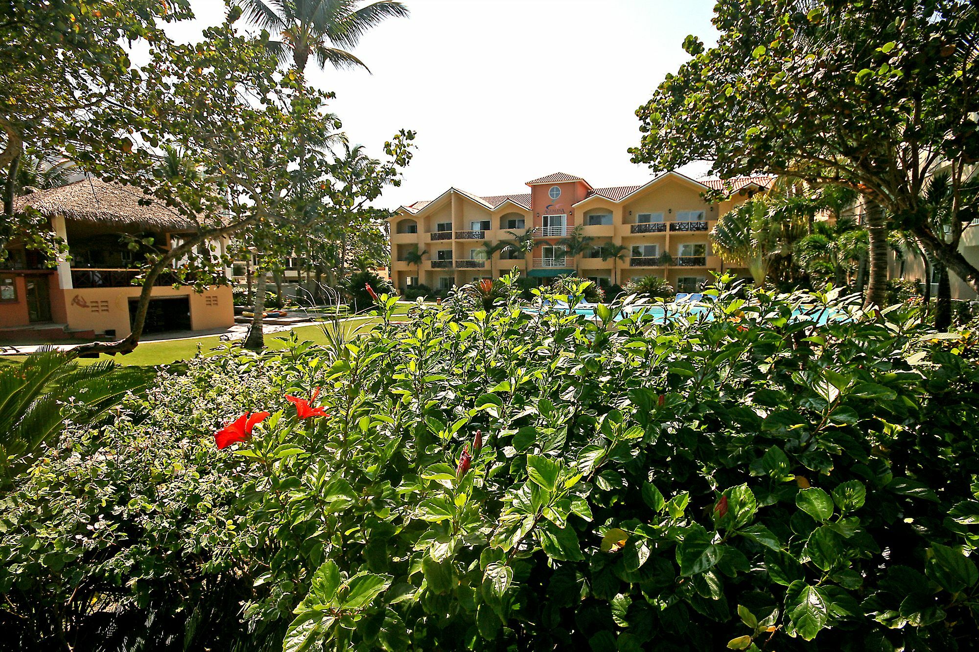 Agualina Kite Resort Καμπαρέτε Εξωτερικό φωτογραφία